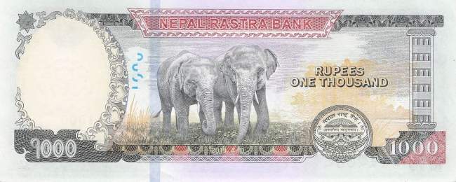 1000  Rupees Nepal 2019